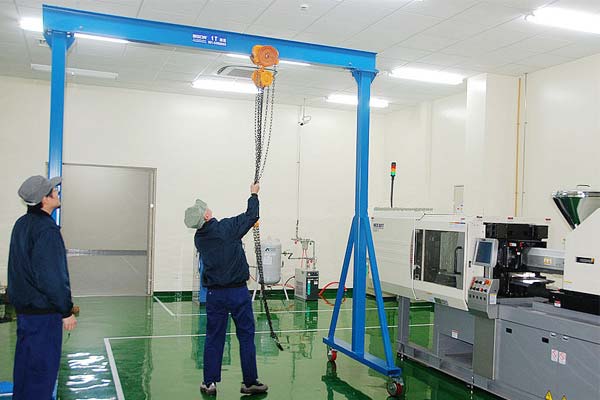 Portable Gantry Crane